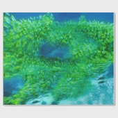 ラッピング紙 ラッピングペーパー (フラット)