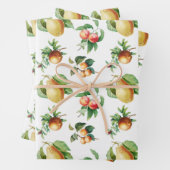 ラッピング – 果実 (インサイチュ)