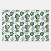 ラッピング – Monstera / Pinapple (正面2)