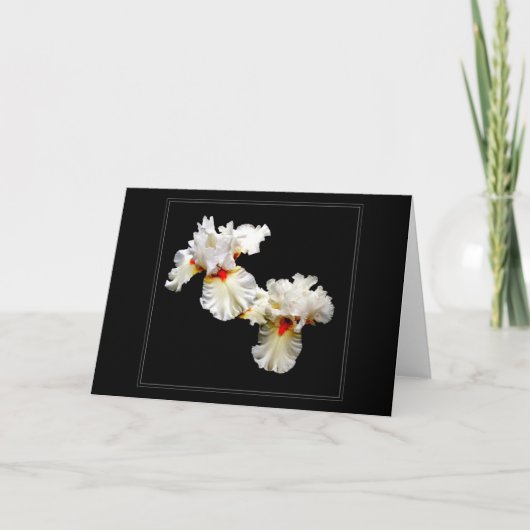 'ラッフルズ'あいさつ空白のきカード カード (正面)