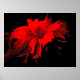 ラッフルズ2 ポスター