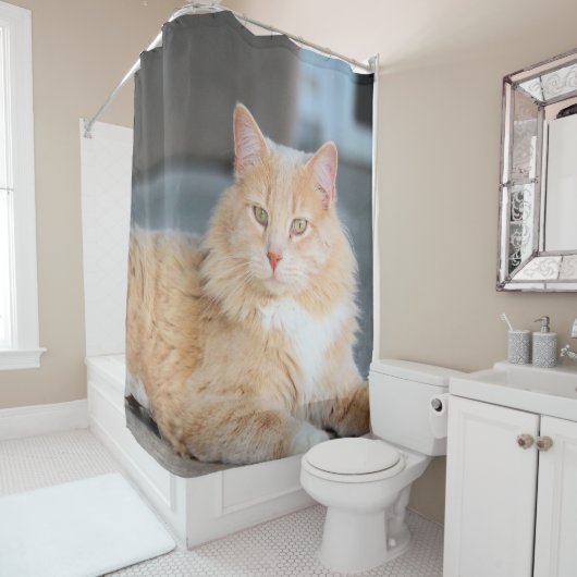 ラッフルズ シャワーカーテン (インサイチュ)