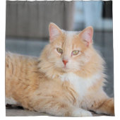 ラッフルズ シャワーカーテン (正面)