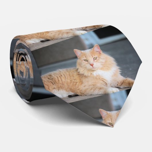 ラッフルズ ネクタイ (ロール)