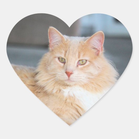 ラッフルズ ハートシール (正面)