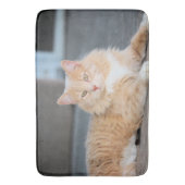 ラッフルズ バスマット (正面縦)