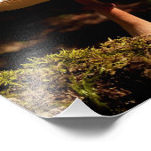 ラッフルズ フォトプリント            (角)