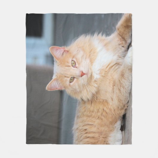 ラッフルズ フリースブランケット (正面)