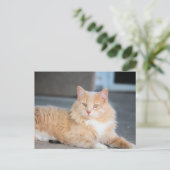 ラッフルズ ポストカード (スタンド正面)