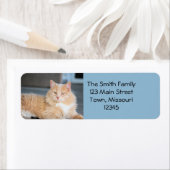 ラッフルズ ラベル (インサイチュ)