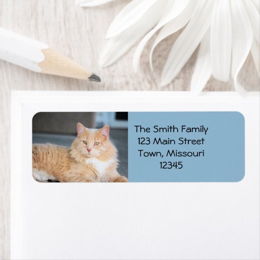 ラッフルズ ラベル (インサイチュ)