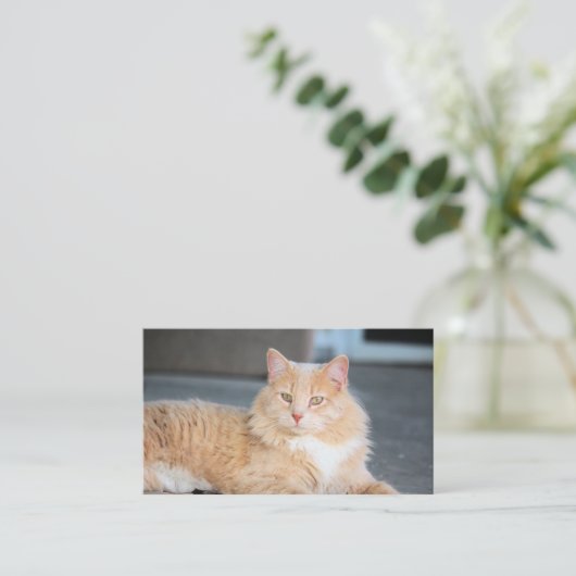 ラッフルズ 名刺 (スタンド正面)