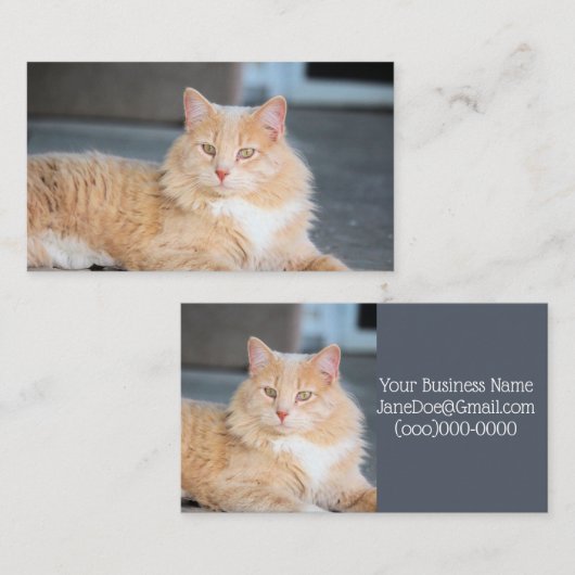 ラッフルズ 名刺 (正面/裏面)