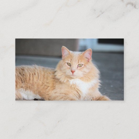 ラッフルズ 名刺 (正面)