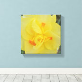 ラッフルダフォディル キャンバスプリント (インサイチュ (ウッドフロア))