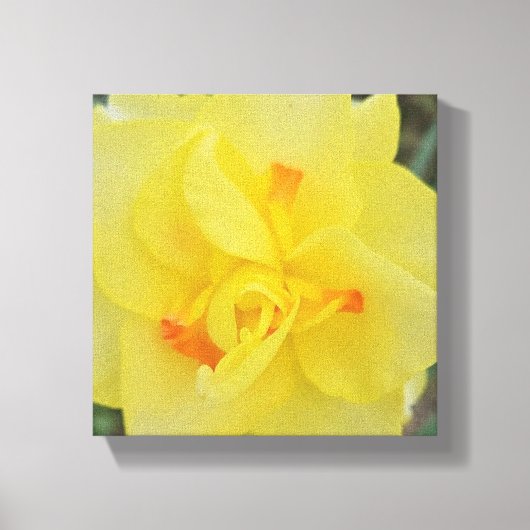 ラッフルダフォディル キャンバスプリント (正面)