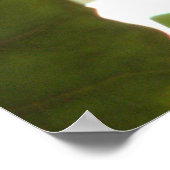 ラップアップフルーツこうもり ポスター (角)