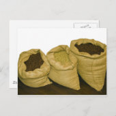 ラップサックのコーヒー豆 ポストカード (正面/裏面)