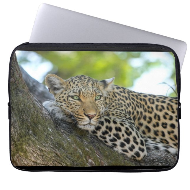 ラップトップスリーブ (正面)