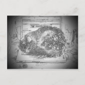 ラップトップラップトップラップキャットに文句を言う天使? ポストカード (正面)