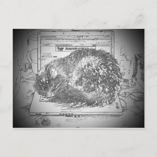 ラップトップラップトップラップキャットに文句を言う天使? ポストカード (正面)