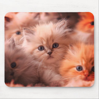 ラップトップ・デスクトップ・タブレット向けのかわいい子猫たち マウスパッド