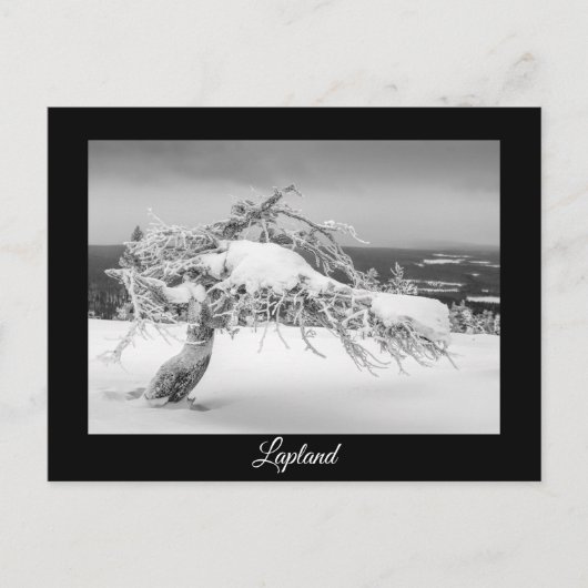ラップランド冬のお土産はがき ポストカード (正面)