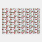 ラップ紙セット ラッピングペーパーシート (正面2)