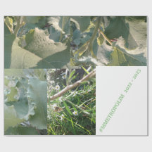 ラップ紙/MMETROPOLIMdesign