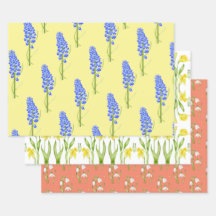 ラッ自然ピング紙シートの春(M、D、S)