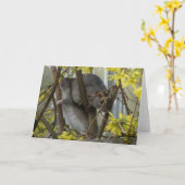 ラティカドルグリーティングカード カード (黄色い花)