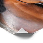 ラティゴトレイル フォトプリント            (角)