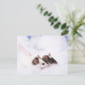 ラティハガキ ポストカード (スタンド正面)