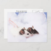 ラティハガキ ポストカード (正面/裏面)