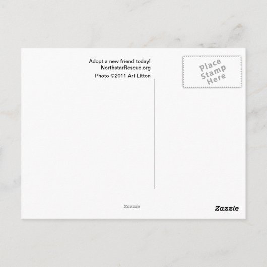 ラティハガキ ポストカード (裏面)