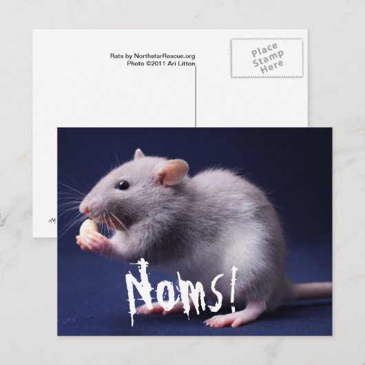 ラティロルツ ポストカード (正面/裏面)