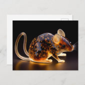 ラティ ポストカード (正面/裏面)