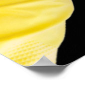 ラテックス手袋 ポスター (角)