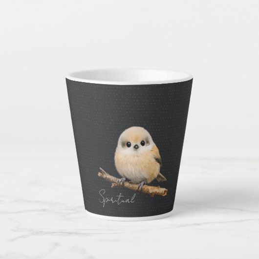 ラテマグ (正面)