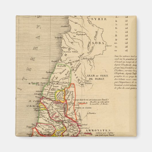 ラテレサントスーサロモン マグネット (正面)