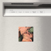 ラテンキス マグネット (インサイチュ (食洗機))