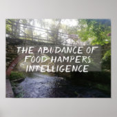 ラテン引用文セネカの諜報員 ポスター (正面)