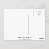 ラテン系のキス ポストカード (裏面)