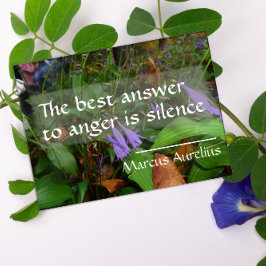 ラテン語の知恵の引用文に対する最高の答えポスター ポスター