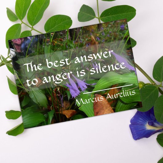 ラテン語の知恵の引用文に対する最高の答えポスター ポスター