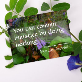 ラテン語の英知引用文正義ポスター ポスター