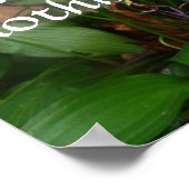 ラテン語の英知引用文正義ポスター ポスター (角)