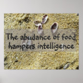 ラテン語引用文情報ことわざポスター ポスター (正面)