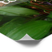 ラテン・ウィズダム引用文の緑のポスター ポスター (角)