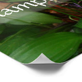 ラテン・ウィズダム引用文・インテリジェンスの緑のポスター ポスター (角)